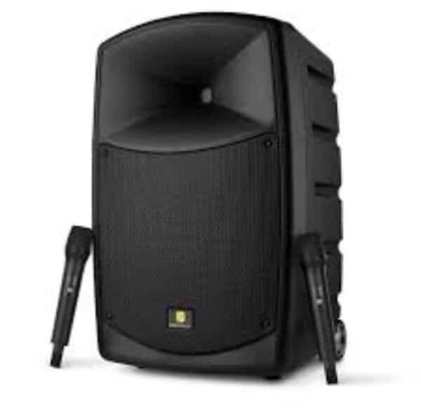 בידורית להשכרה