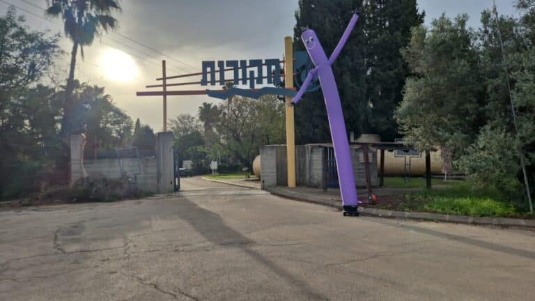 בובת דנסר בצבע סגול להשכרה